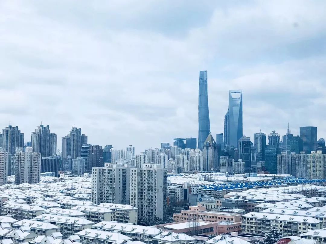 上海绝美雪景大全上海连雪景都是世界第一