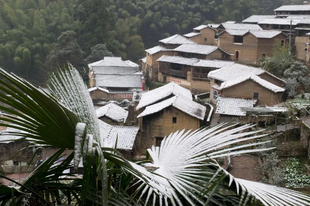 松阳四都雪景图片