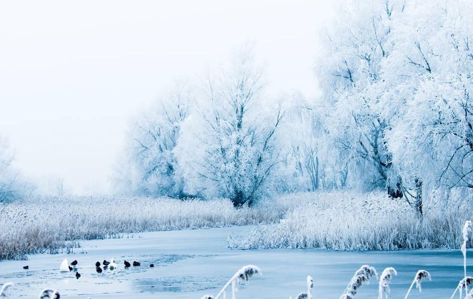 品讀賞雪必備描寫雪景的唯美古詩句