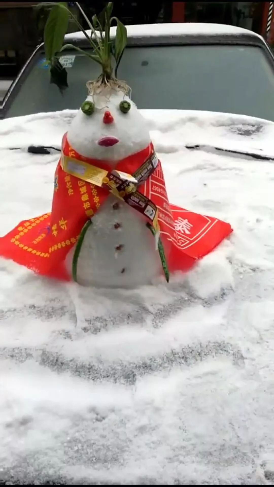 常德賽區丨堆雪人大賽現在開始!哈哈哈哈.