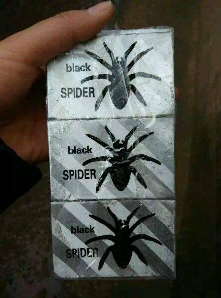 黑蜘蛛擦炮批发一盒图片