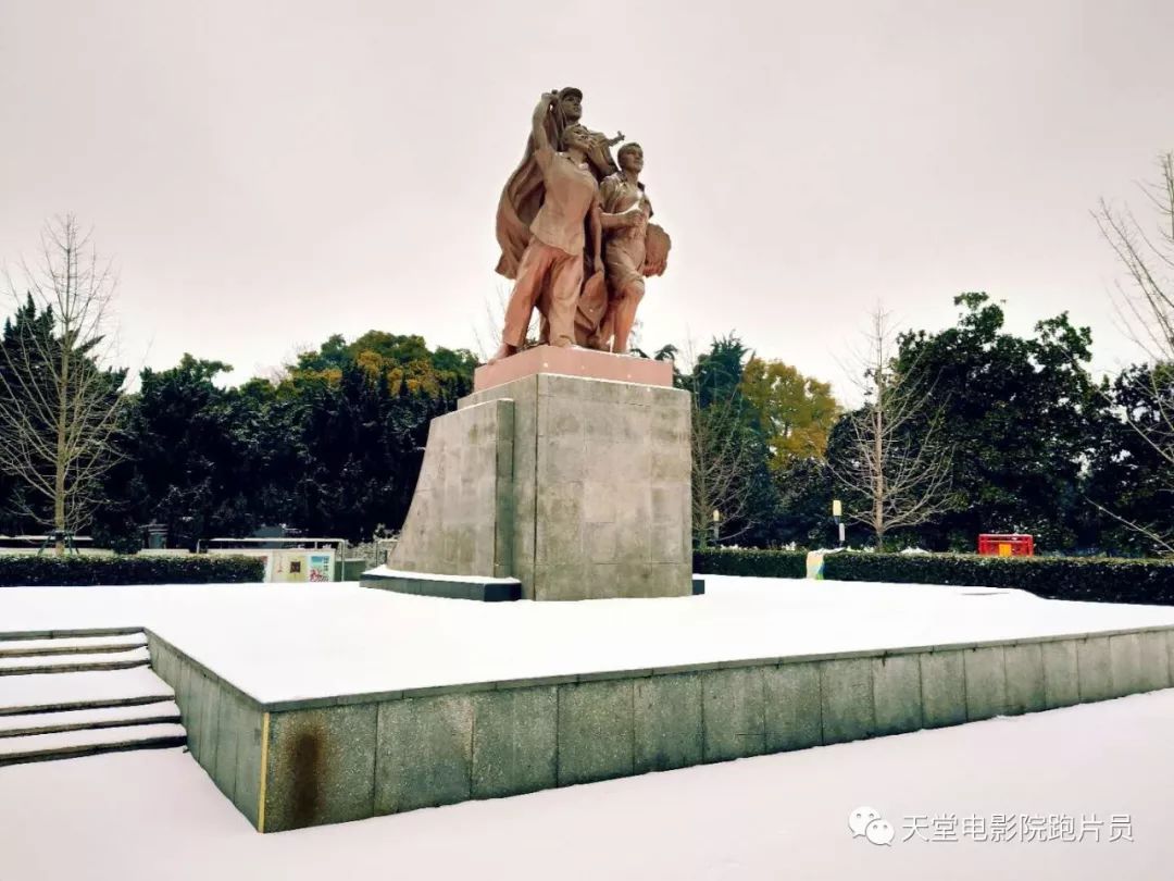 沙市这座已有83年历史的公园雪后竟是如此的美丽大波雪景美照袭来