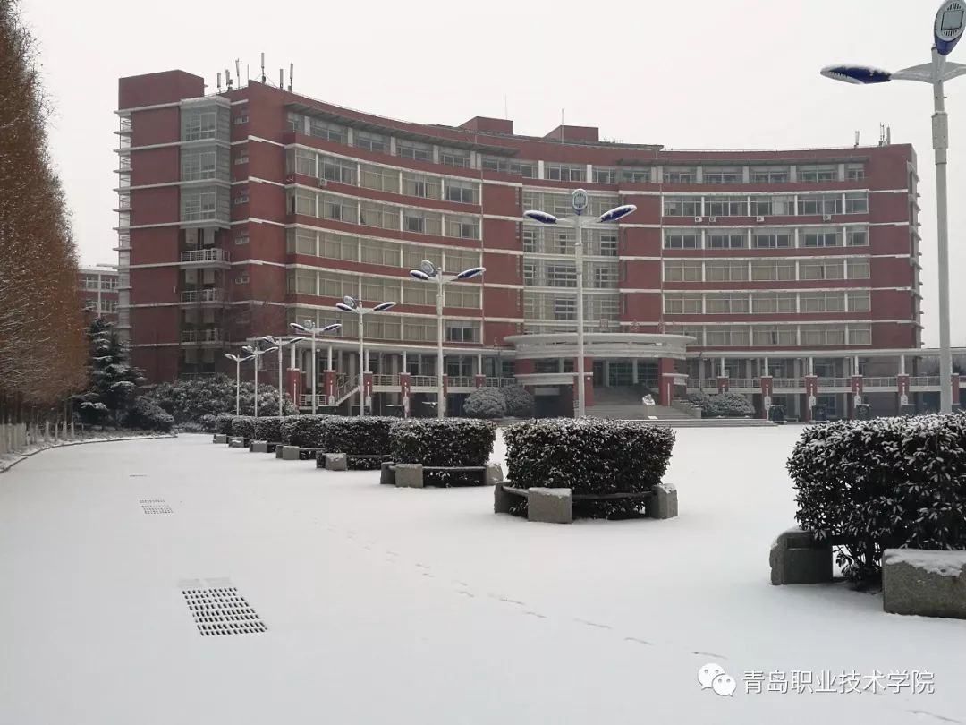 青职初雪丨瑞雪兆丰年