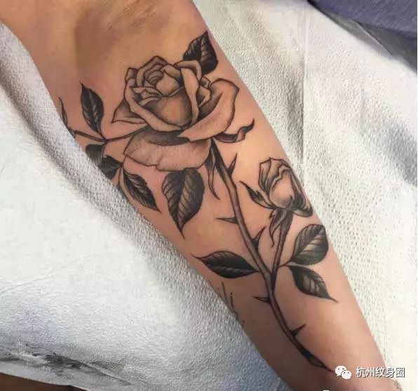 tattoo | 紋身素材:黑玫瑰