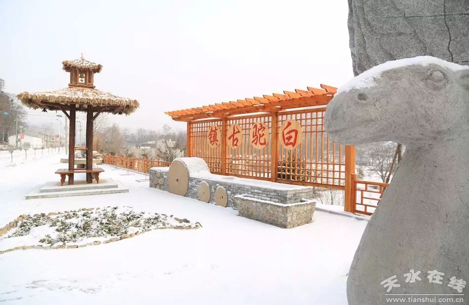 (白驼古镇"割一块肉,提半桶油,农历腊月十一,天水市清水县白驼镇赶