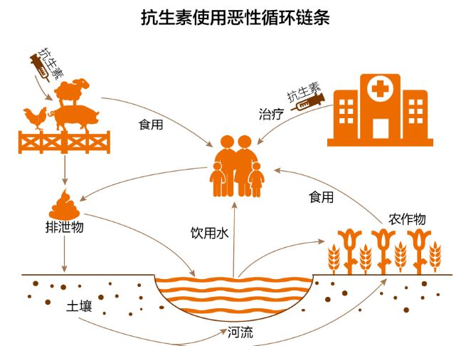 抗生素除了用于人类和动物细菌感染性疾病的治疗,同时也被作为促长剂