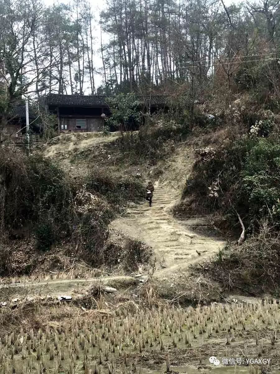 永顺县石堤镇车祸图片