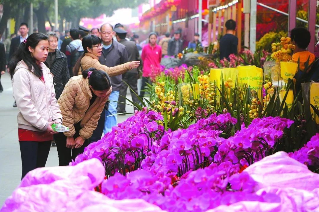 坐地鐵觀花市 2018年廣州迎春花市攻略