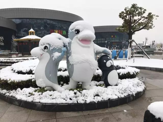 雪後的大豐港海洋世界,你知道是什麼樣的嗎?