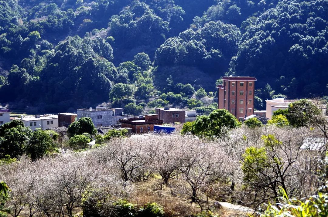 美麗石船建設中的觀天路陸河徒步登山首選之路