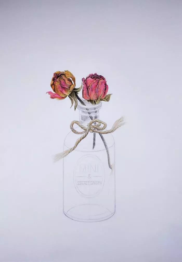 瓶花写生玫瑰图片