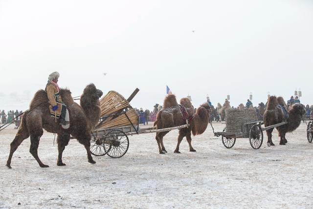 难得一见!蒙古族的历史迁徙场景在西乌旗重现,气势恢宏,盛况空前