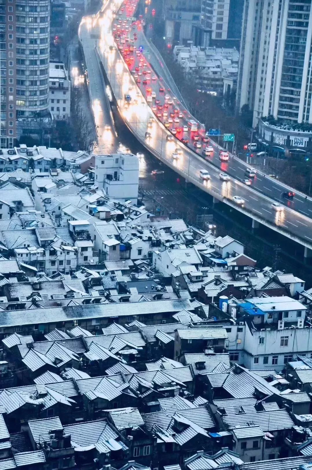 你们才是真正属于上海人的雪景图!