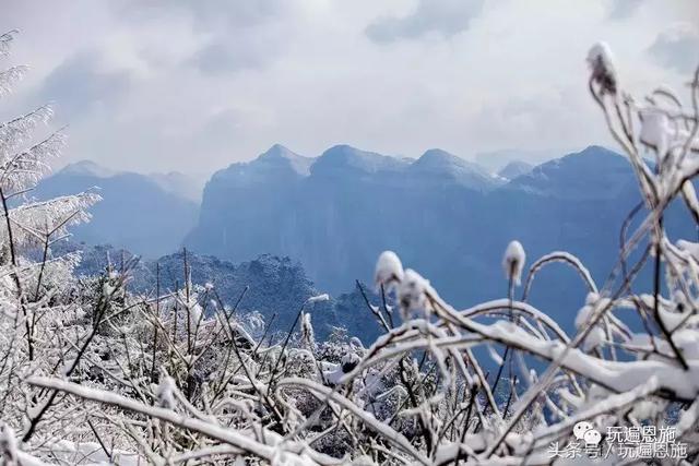 大峽谷顏值巔峰就是下雪天