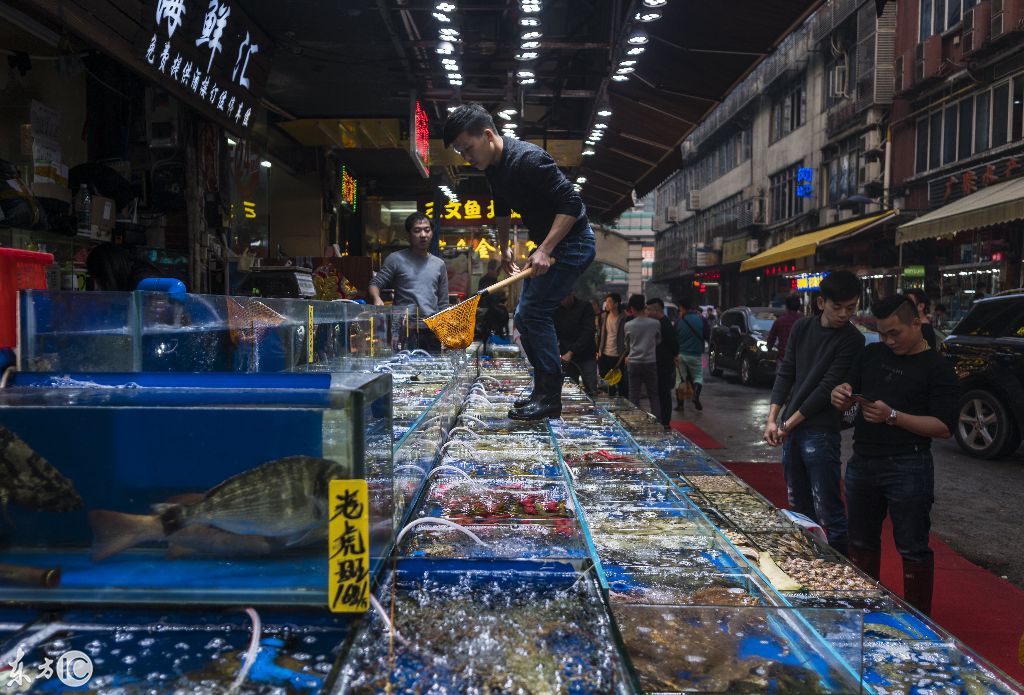 实拍最大海鲜市场鳄鱼只是寻常货