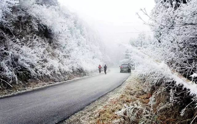 超美柳州多地绝美雾凇奇观图大全雨夹雪冻雨冰冻还将持续