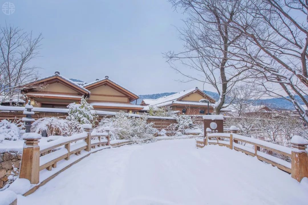 灵山和拈花湾雪景第二弹内附航拍视频和小姐姐美照哦