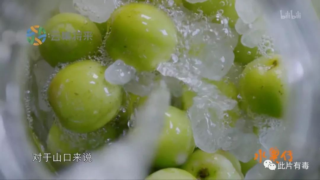 水果传舌尖后最美的食物纪录片可爱到犯规