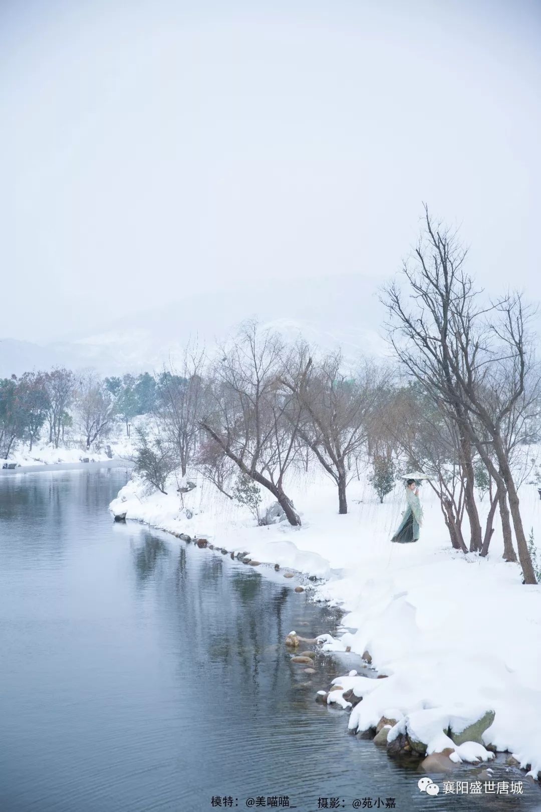 雪中漫步白头图片图片