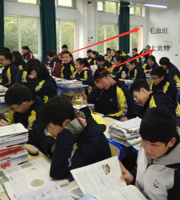 前方高能重庆市涪陵第五中学校宣讲