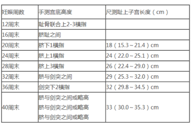 胎儿体重计算器估算图片