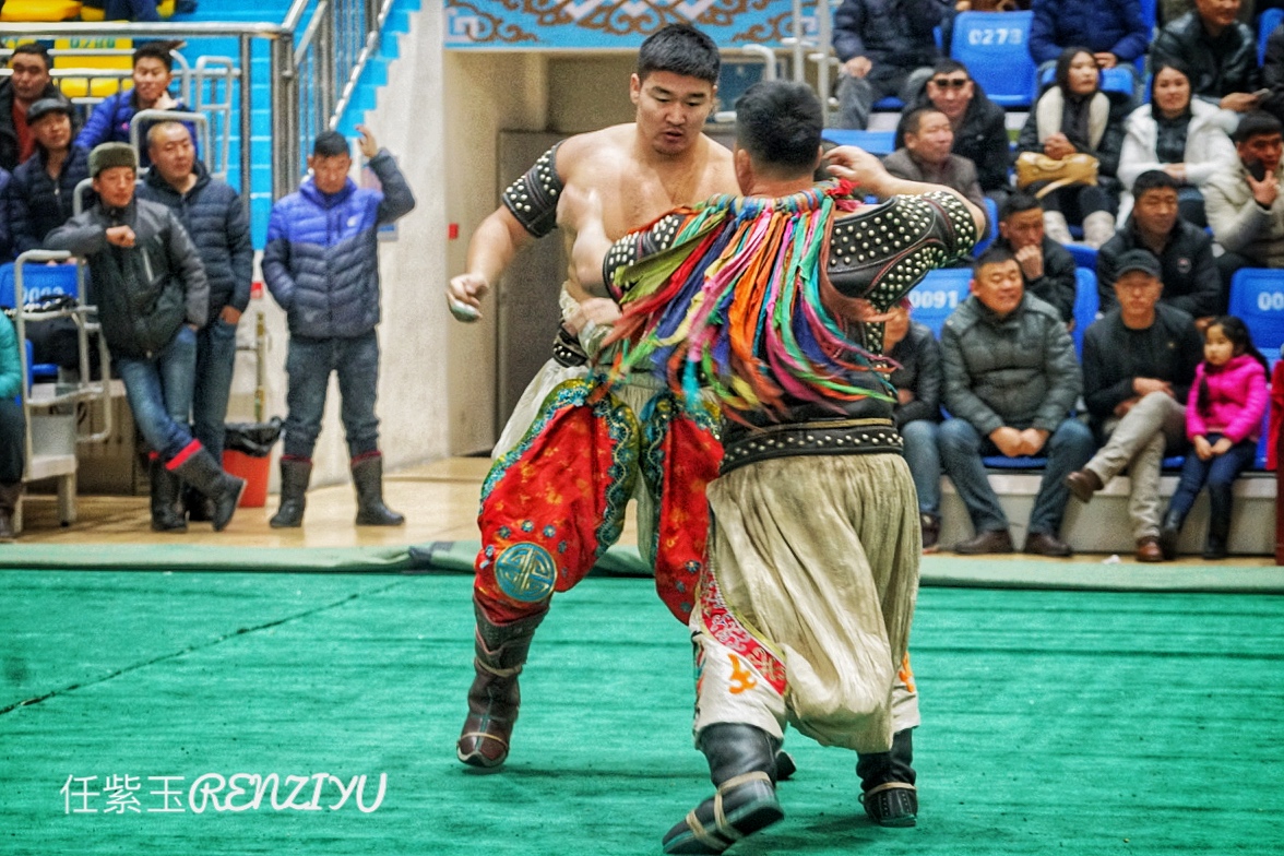 在西乌珠穆沁旗看摔跤比赛,原来这是蒙古族男儿最大的荣誉