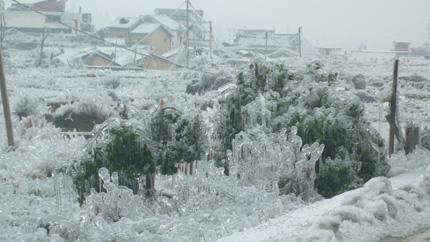 2008年特大暴雪图片图片