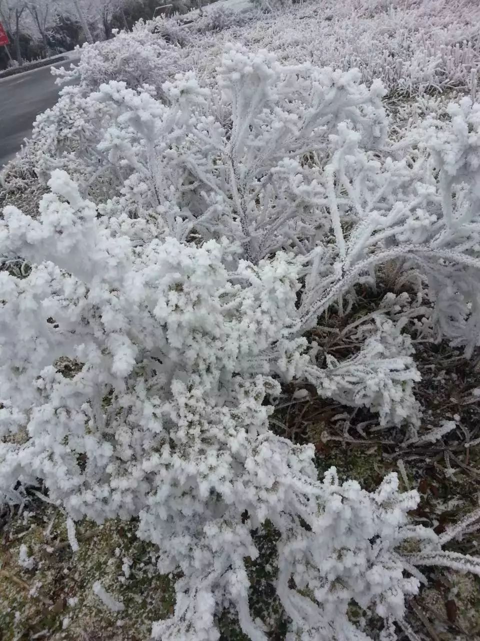 石柱黄水雪景图片