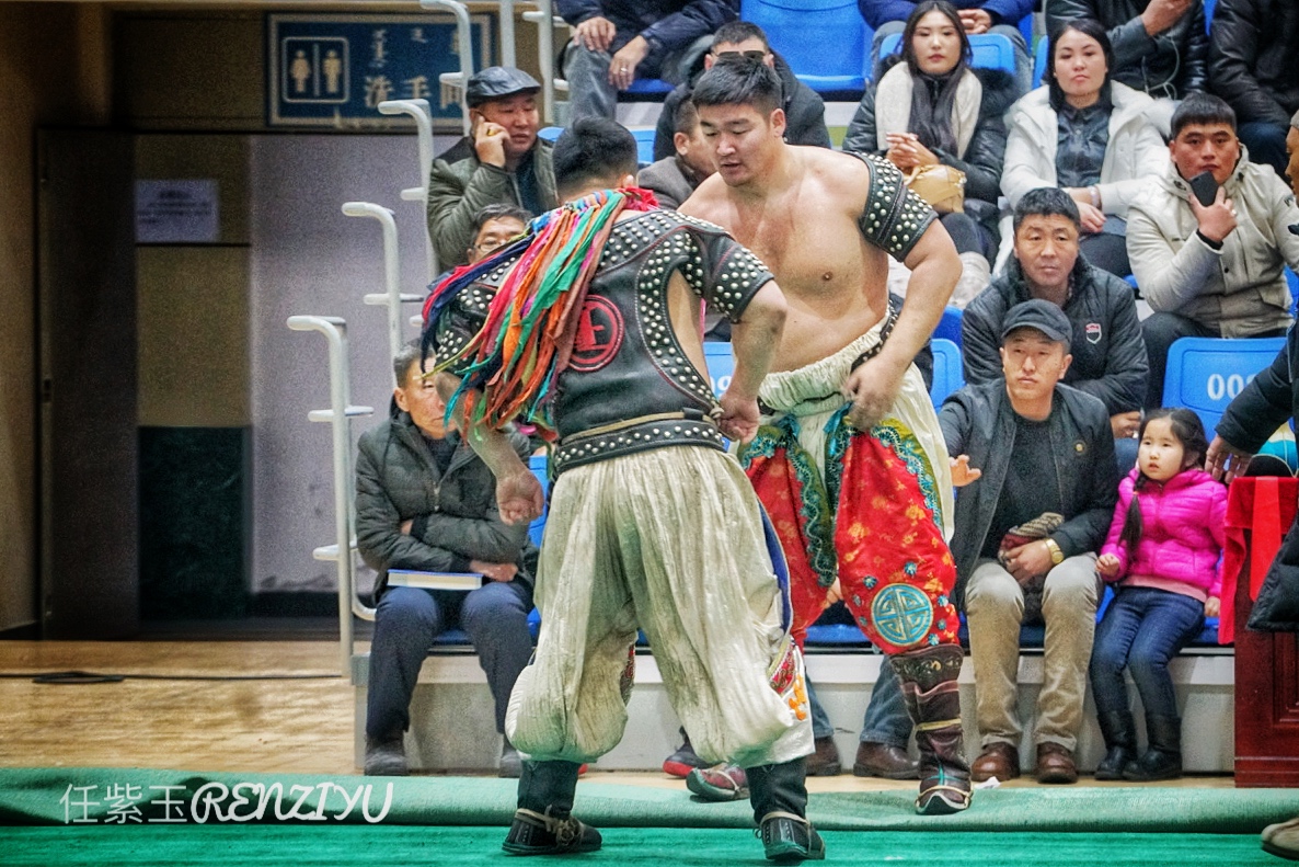 蒙古摔跤不只是力的韬略 跤王除了领到赞誉和奖赏 还有姑娘的青睐__凤凰网