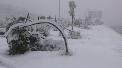 2008年春节大雪灾犹如世界末日那年你在哪儿