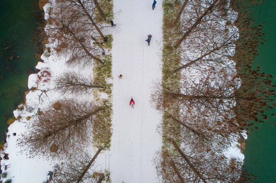 這些將定格為2018年的雪記憶