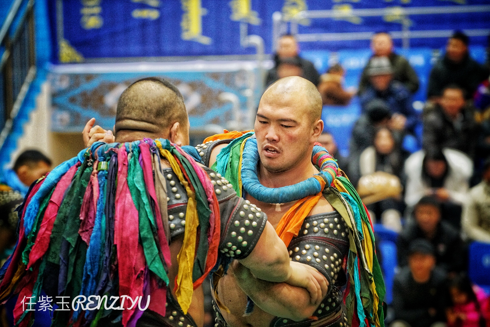蒙古最强壮的摔跤手图片