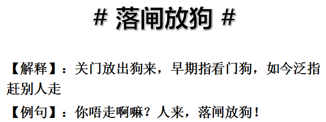 只有從化人才知道的13種狗看到第一隻就已經笑噴了