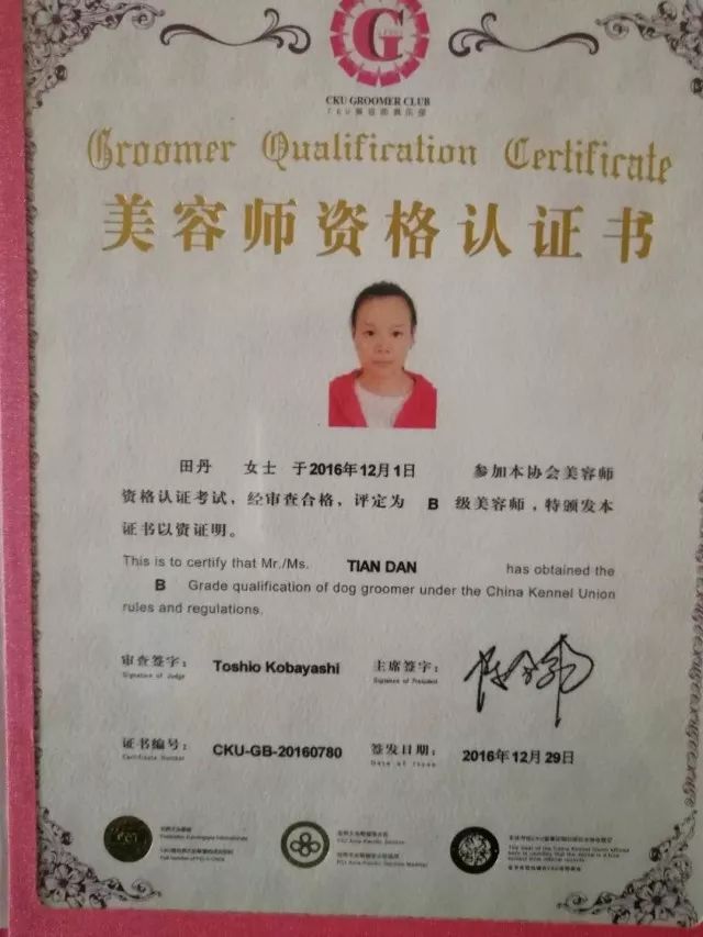 田丹荣获中国宠物美容师a级资格证书2011年,半年实习期结束后,田丹便