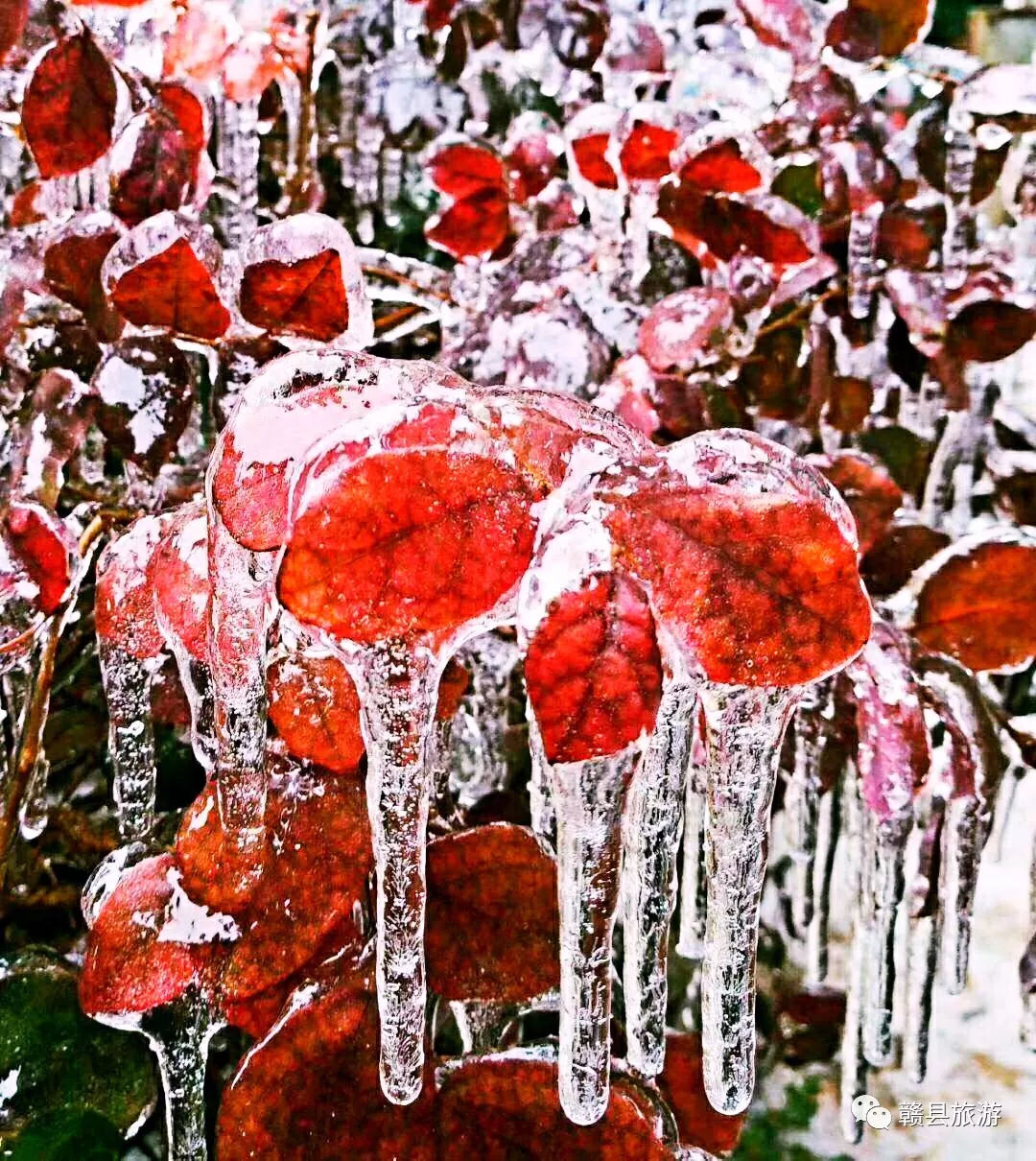 赣县宝莲山雪景图片