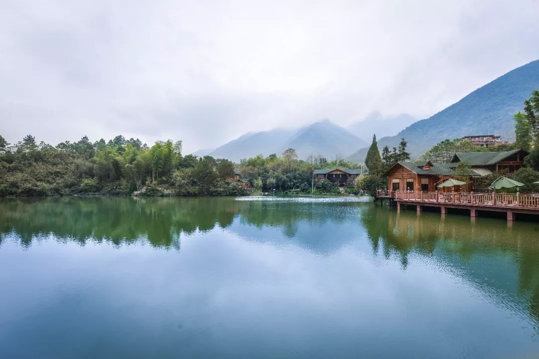 剛剛杭州桐廬富春山健康城管委會正式掛牌