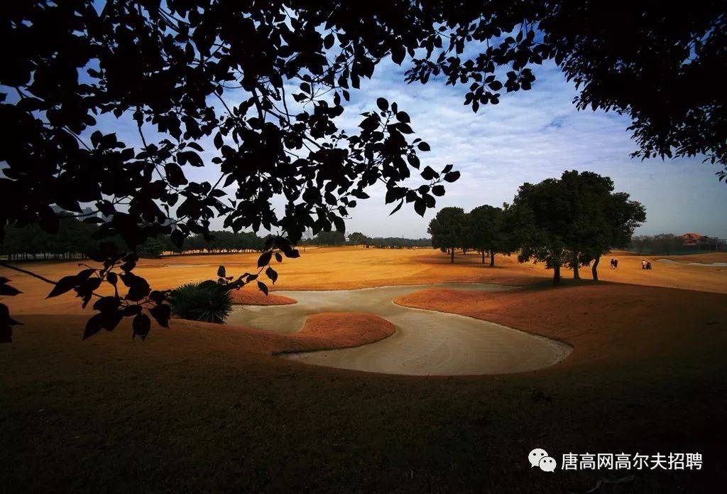 苏州中兴高尔夫俱乐部图片