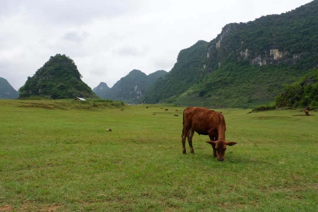 要上春晚的广西新景点,火前留名,春节我要去!