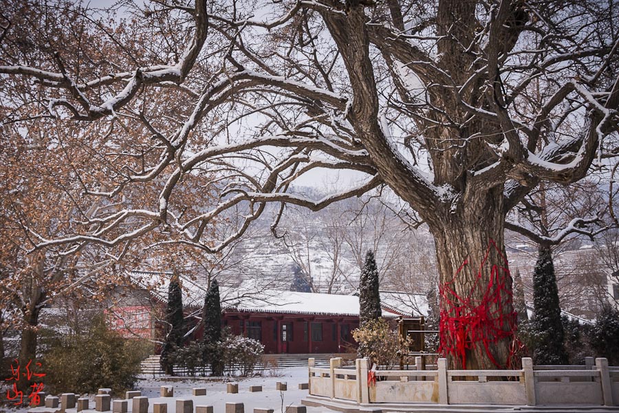 芜湖荆山寺图片