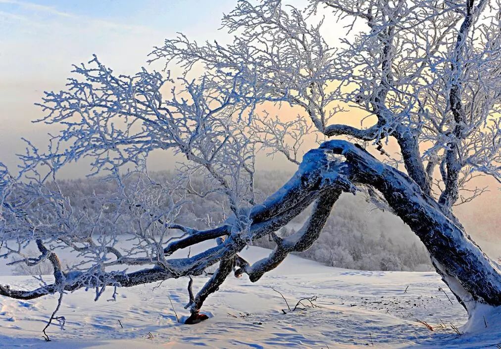 冰雪画廊和十里画廊图片