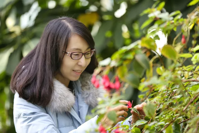 人物志与学生思维碰撞出火花的教育者师丽花