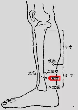 【每日學習】足少陰腎經,腧穴-搜狐