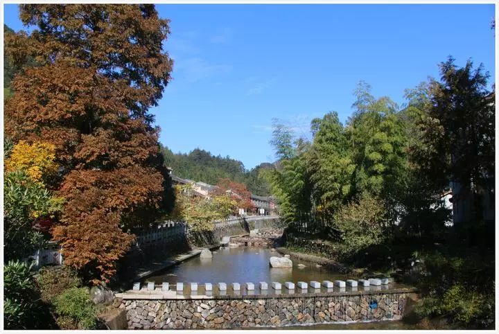 厲害!慶元這個村被評為省老年養生旅遊示範基地