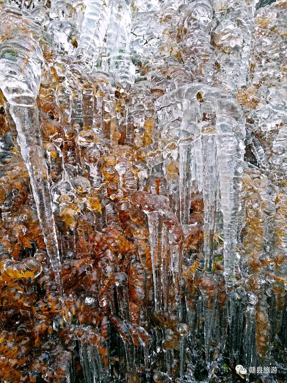 赣县宝莲山雪景图片