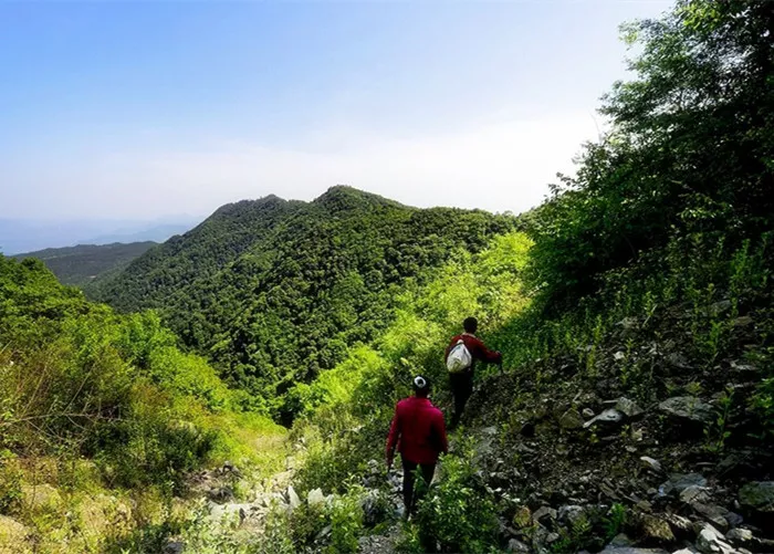 農村山裡出了