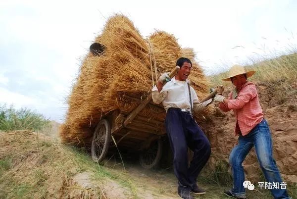 小時候的記憶:架子車情結!農村裡別樣的場景,你是否還記得?