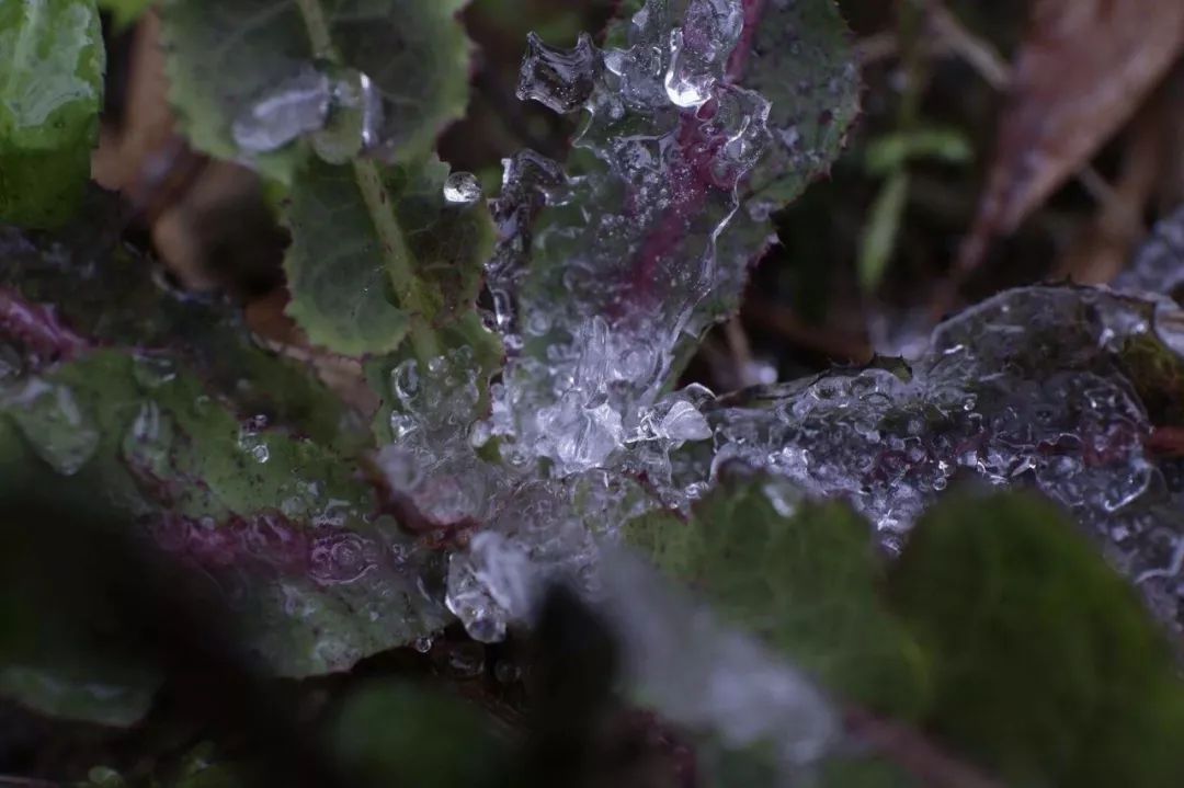 寒风冷雨图图片