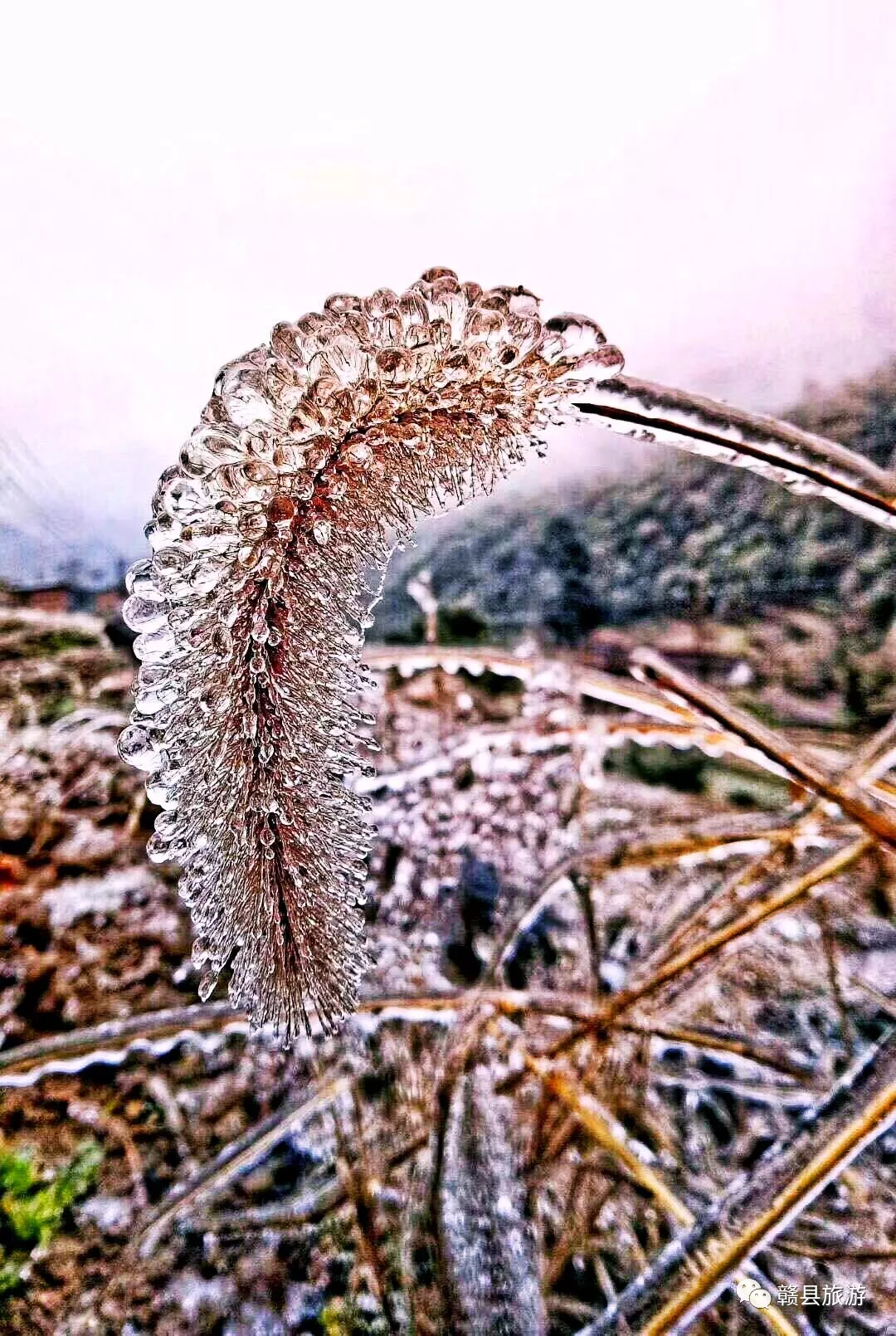 赣县宝莲山雪景图片