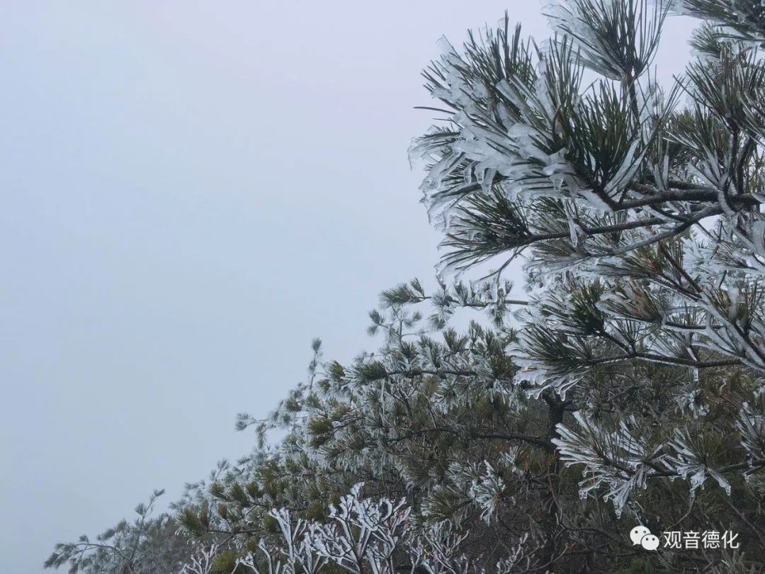 九仙山雾凇雨天图片