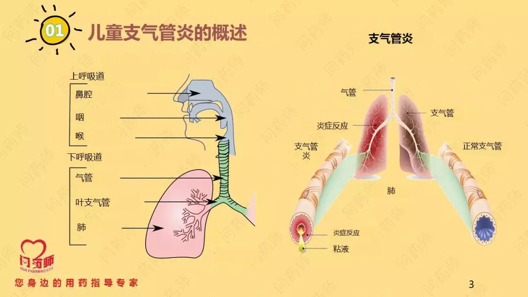支气管炎症状及表现图片